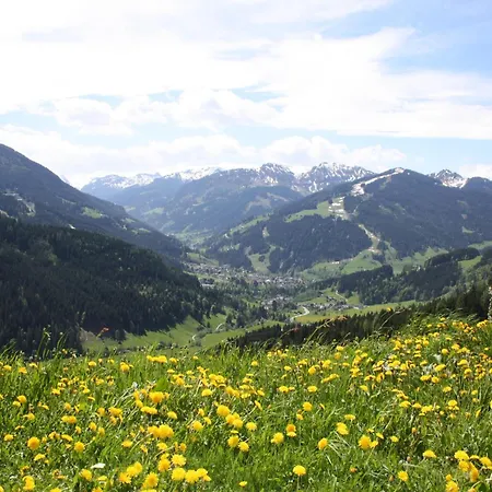 Appartement In With Stunning Mountain Views *