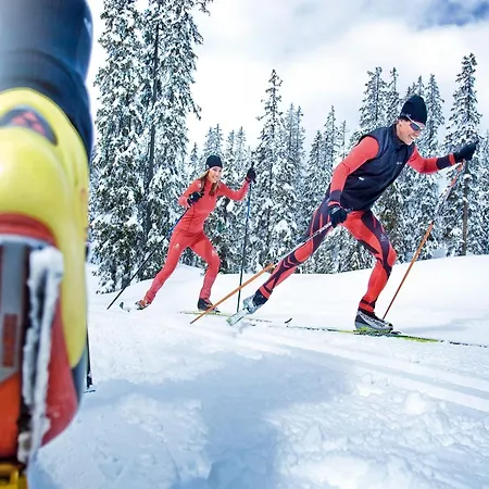 Apartment In With Stunning Mountain Views Wagrain